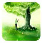 һ�����⶯̬����