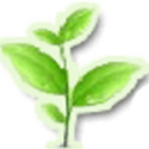 ���ݸ�Ŀ(��ҽҩ�ﱦ��)