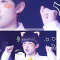 ٶ뷨Ƥ֮TFBOYSԴ