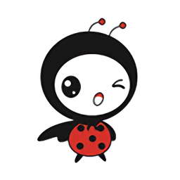 ����ӡ������