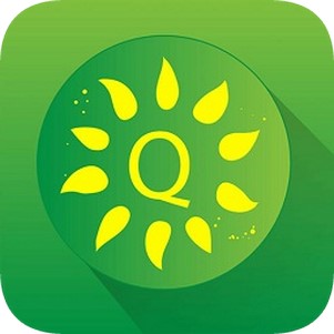 quizii����Ӣ�����������