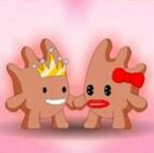 ���ӹ����ؼҼ��޵а�