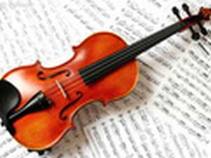 ���ٱ���ʦ��