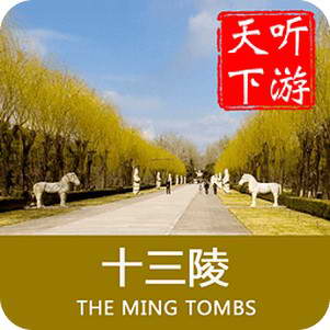 ��������ʮ���굼��