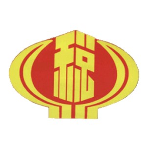 ����ʡ�ط�˰������緢Ʊר������