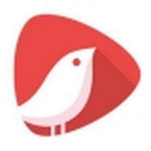 �Ա�ͷ��(����Ƶƽ̨)