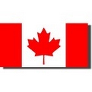 ���ô��ͼ�������İ�