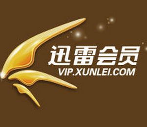 Ѹ��vip6�޸���