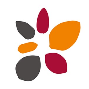 ���֤ȯ�߲����ֻ���