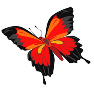 ronyasoft poster printer�����޸İ�