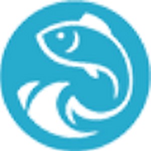 995158ת��IP����