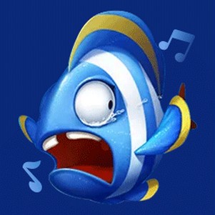 �쾨��������