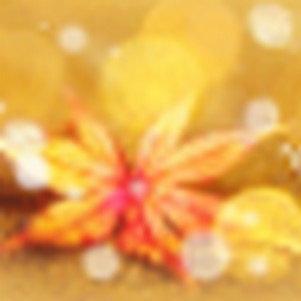 360������Դֱ��ת����