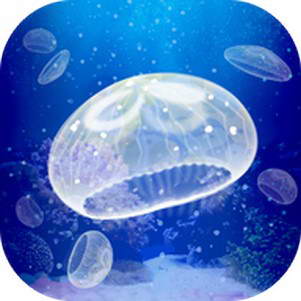 ����ˮĸ����(Jellyfish)