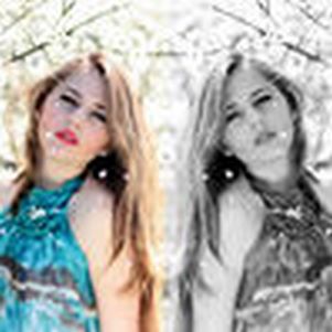 ħ��������2017(�������)