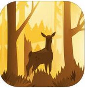 wildfulness2��ʽ��