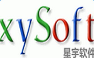 ������ѳ�������������ʽ��