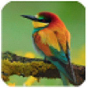 ���ƺŲ�ѯ�ֻ���