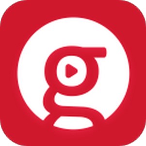 GoPlayer���򲥷���