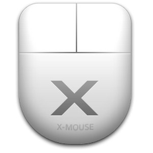 x mouse button