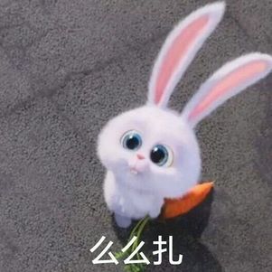 ��������С�ױ����