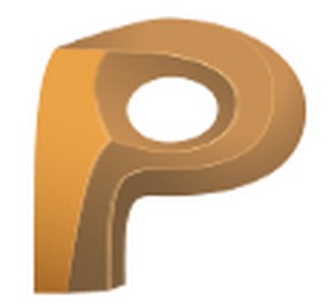 ����PM�������