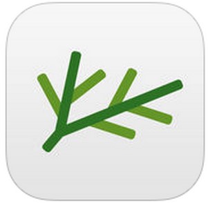 shirabe jisho andriod