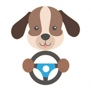 c�޳��д���