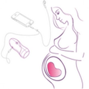 ����������