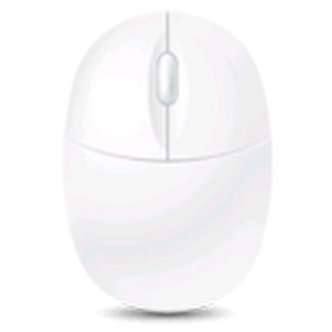 ������Զ����������