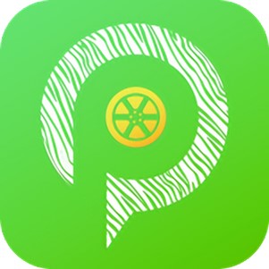 ����ͣ��app