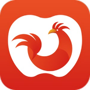 �ļ����������