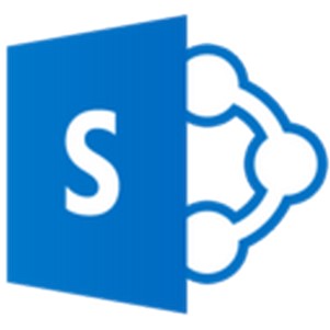 sharepoint server 2010İ