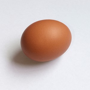 �����Ƽ�app