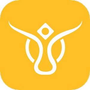 ţ