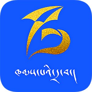 ���ʹ�ý��