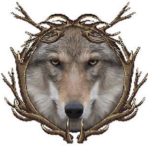 ����ģ�������İ�