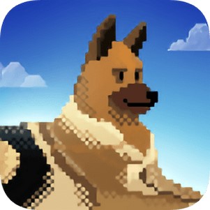 ԮİDog Shelter Rescue