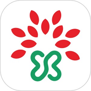 �ױ���������