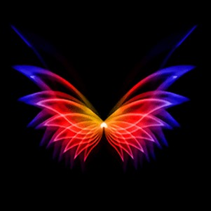 ��̬��ֽ����app