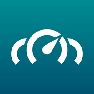 realdash�Ǳ�������