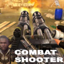 �Ŷ���������(combat shooter)