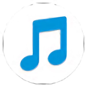 musique���������°�