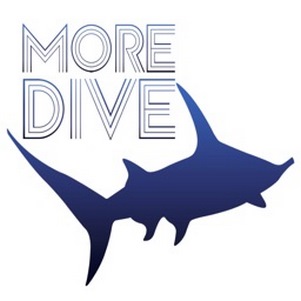 Ǳˮָmoredive