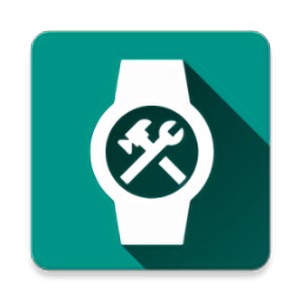 wearos������app