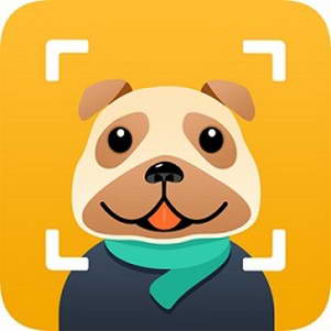 ar��������ٷ���(ar snap)