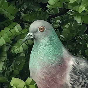 ���Ӱ��������Ϸ(Pigeon A Love Story)