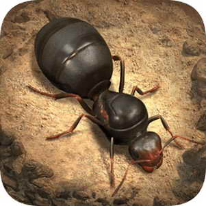 ���ϵ���������Ϸ