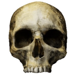 ������3����֮սmod