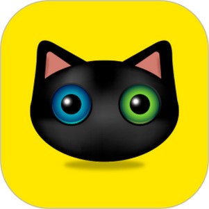 �������app���°�(����cam)